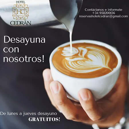 Hotel Cedran Granada